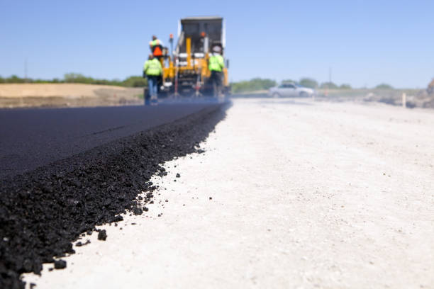 Best Driveway Grading and Leveling  in Rio Grande City, TX